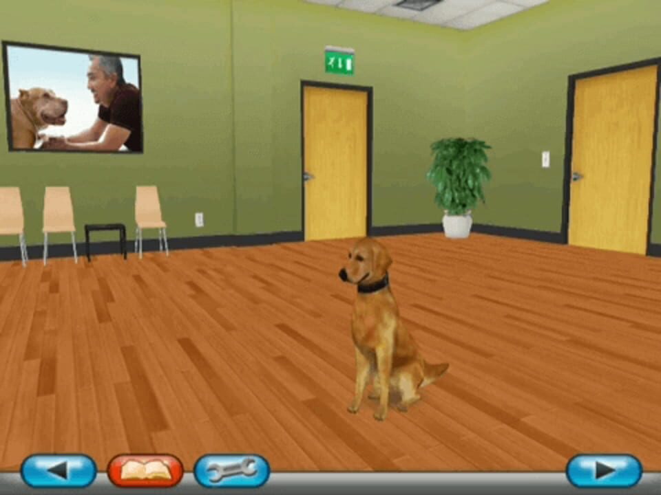 Cesar Millan’s Dog Whisperer