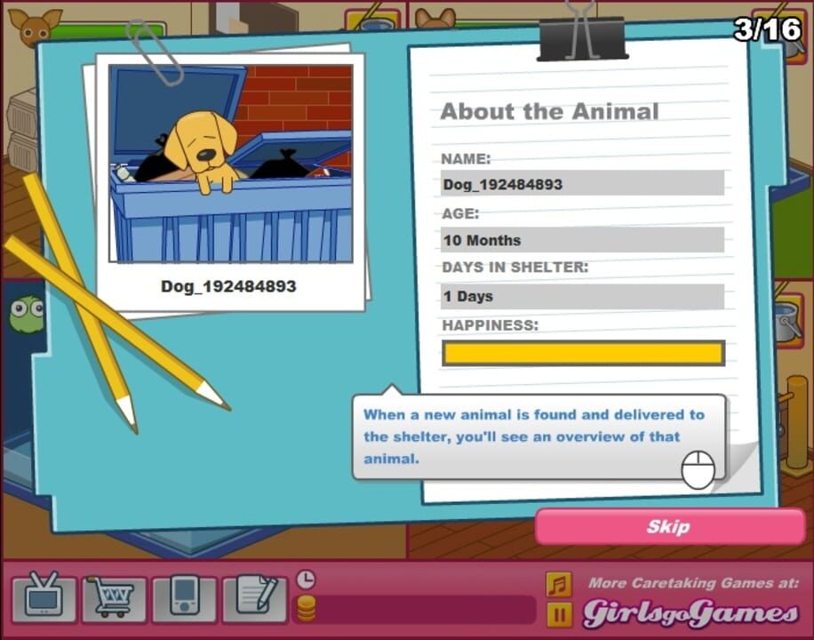 Animal Shelter