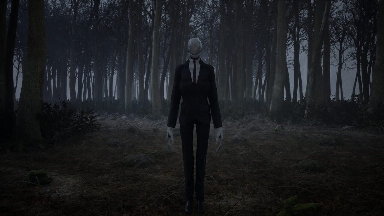Slender: Reborn