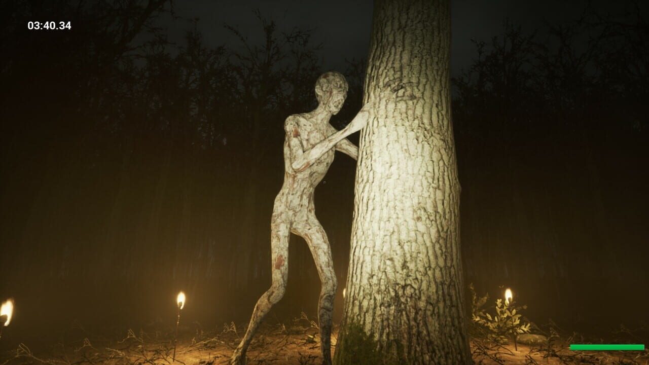 Slender: Reborn