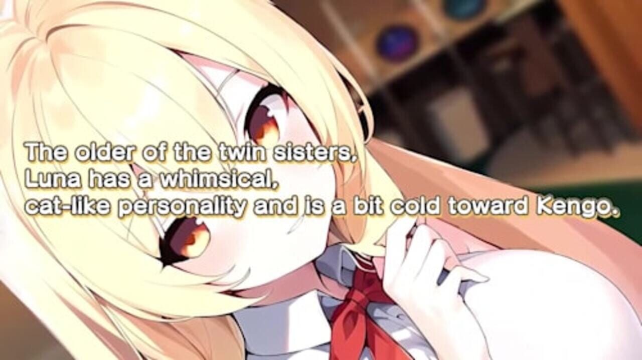 Furry Twins Oshikake Kemomimi Twins