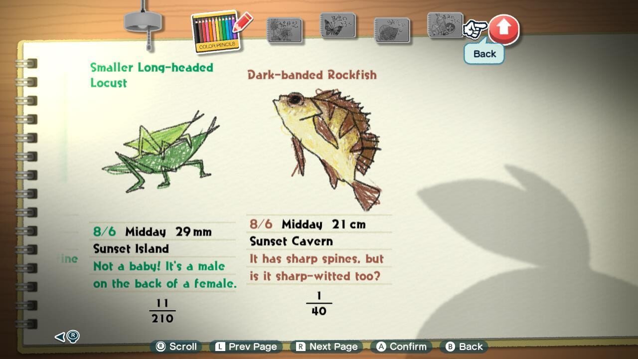 Natsu-Mon: 20th Century Summer Kid Sunset Bundle