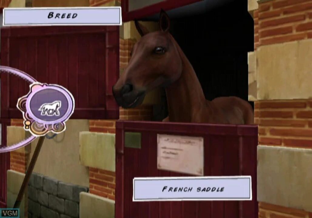 Horse Life Adventures