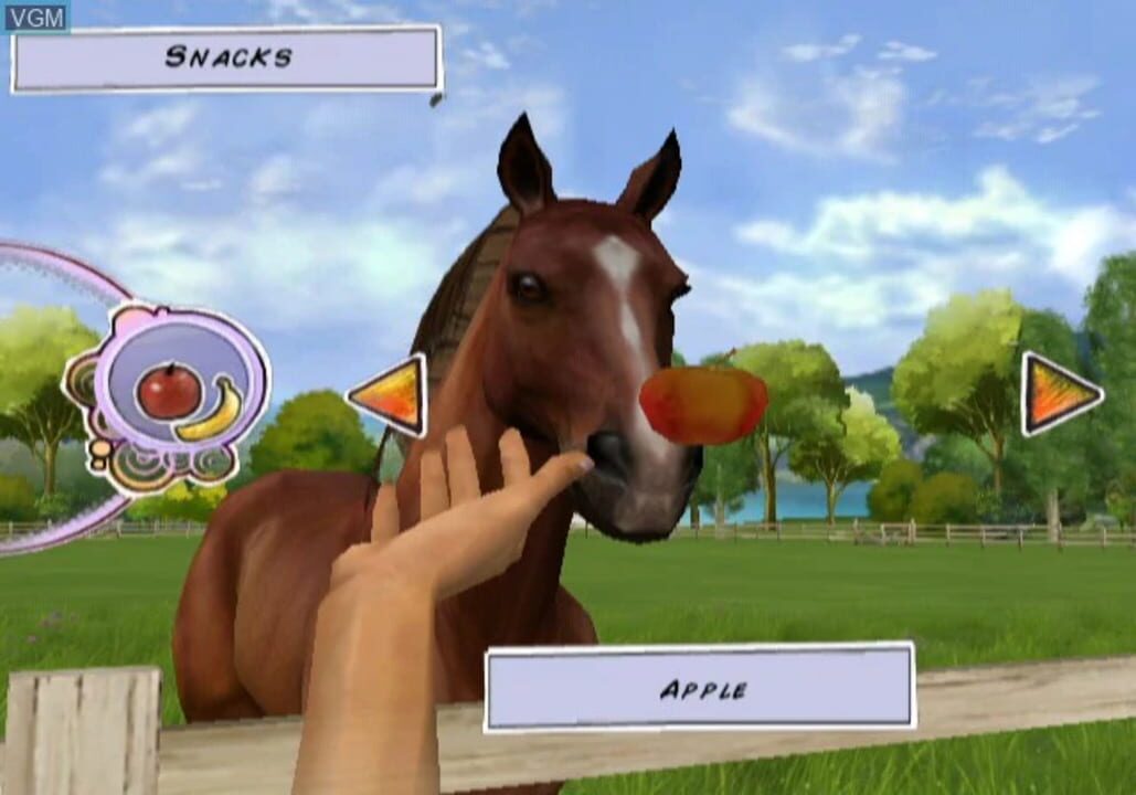 Horse Life Adventures