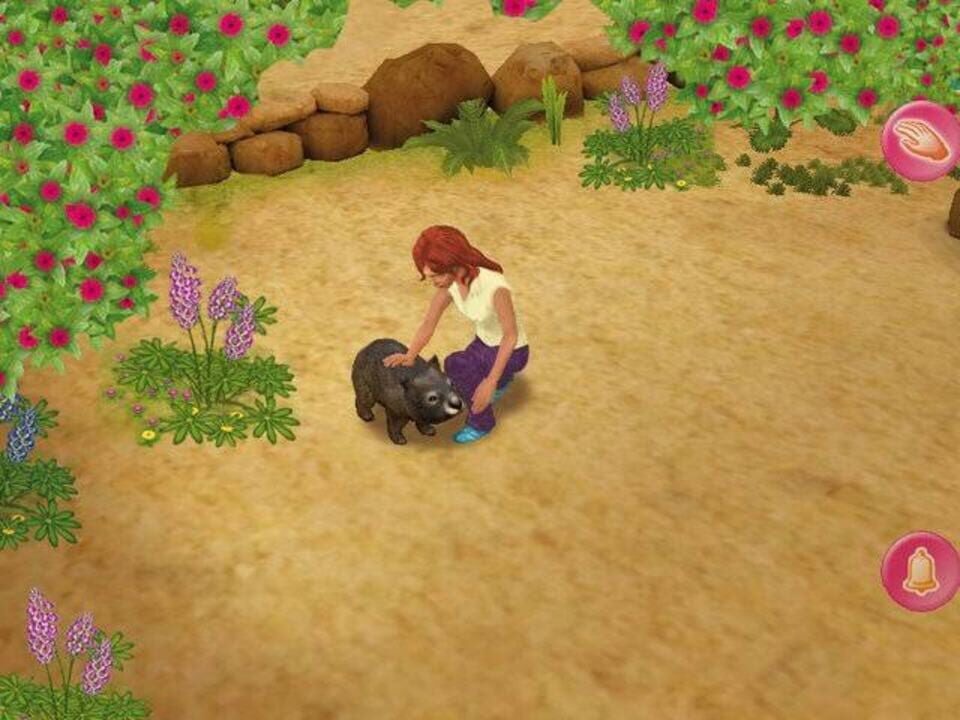 My Animal Centre in Australia