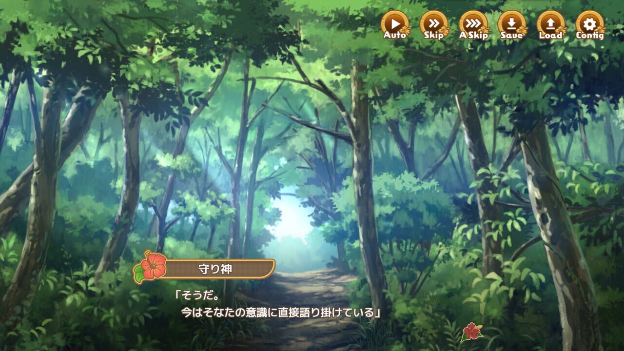 Welcome to Paradise Island