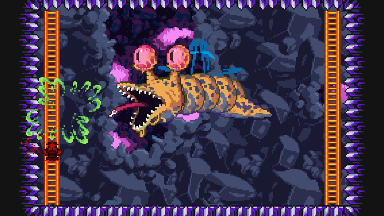 M.A.D. Cows and D.U.M.B. Ducks Bundle