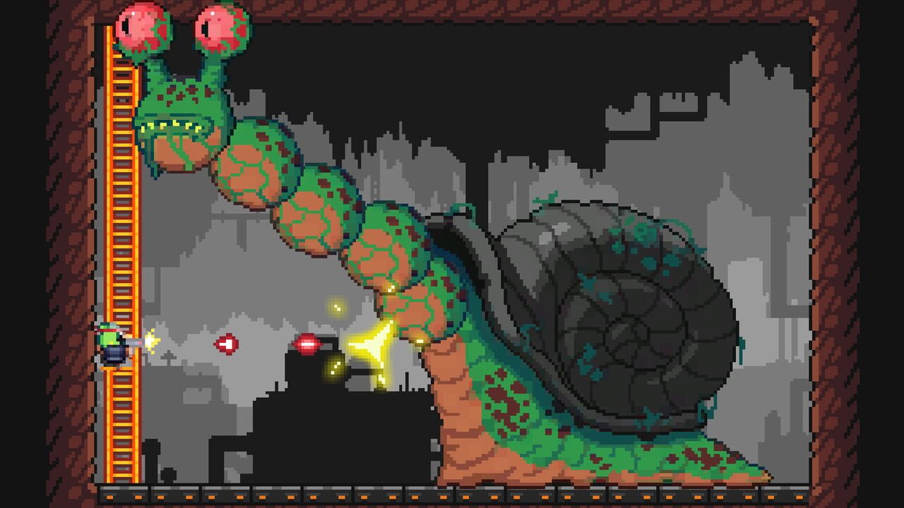 M.A.D. Cows and D.U.M.B. Ducks Bundle