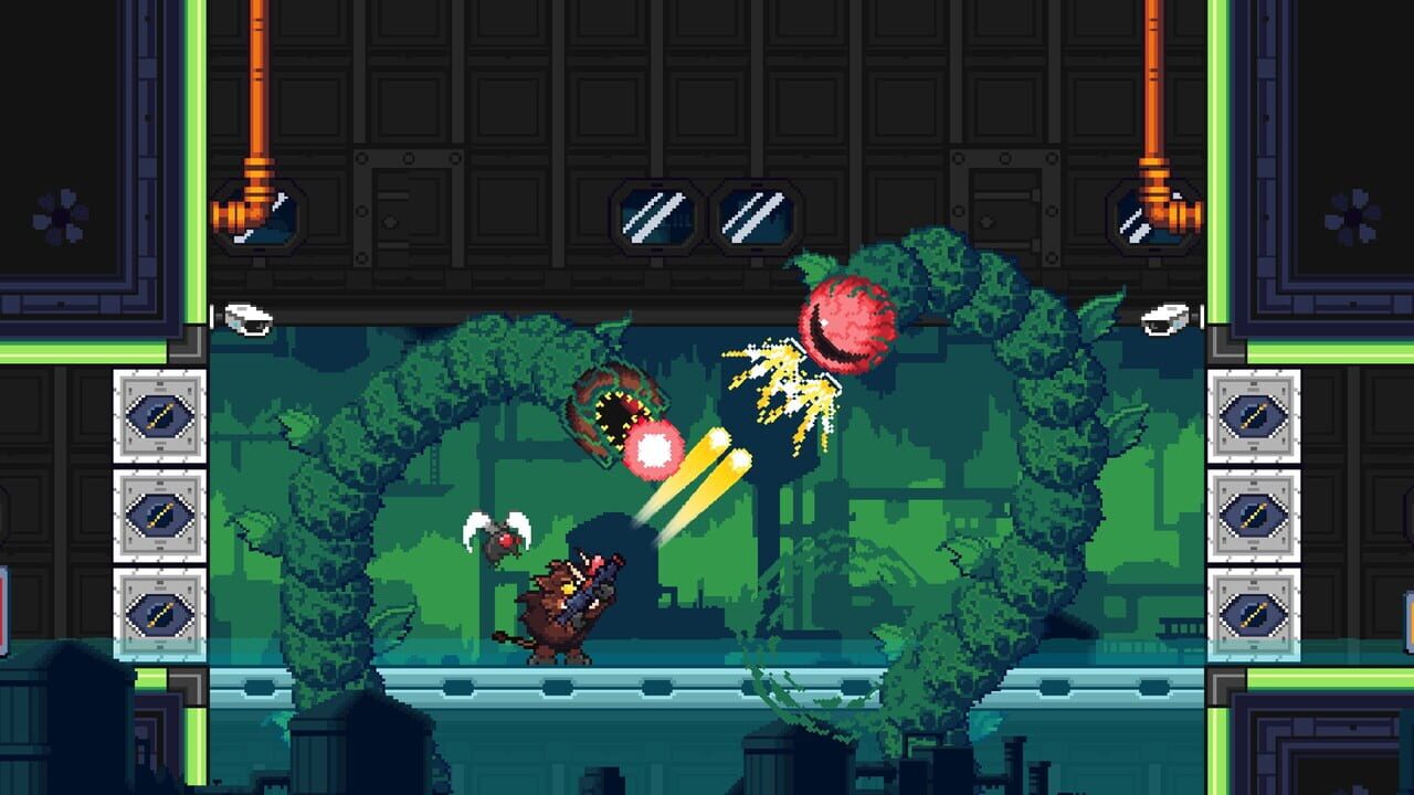 Buck ‘n Grunts Bundle