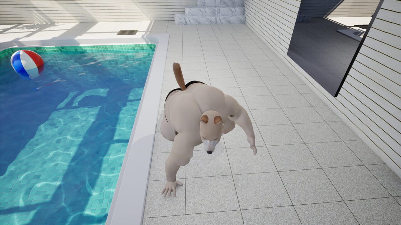 Strange Pool