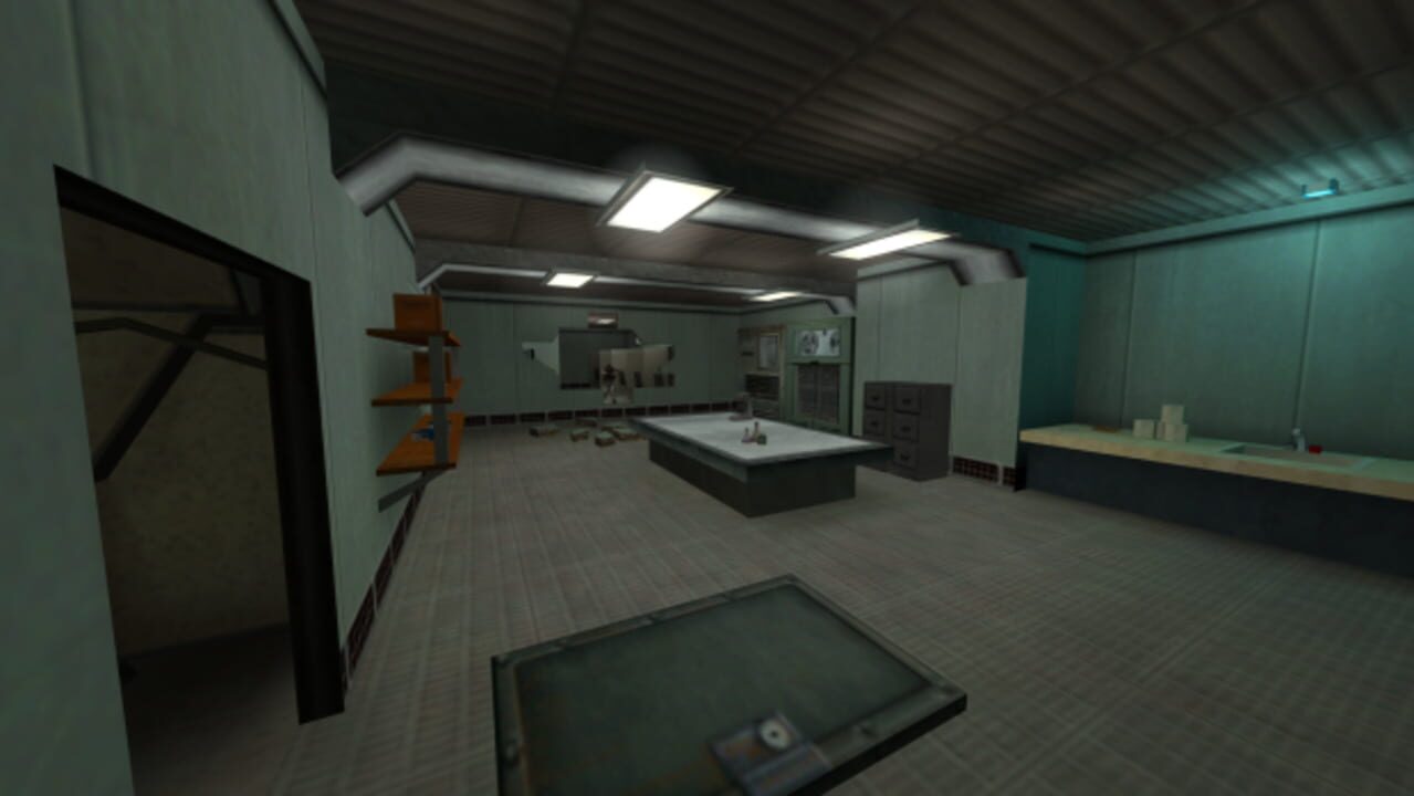 Half-Life: Savior Complex