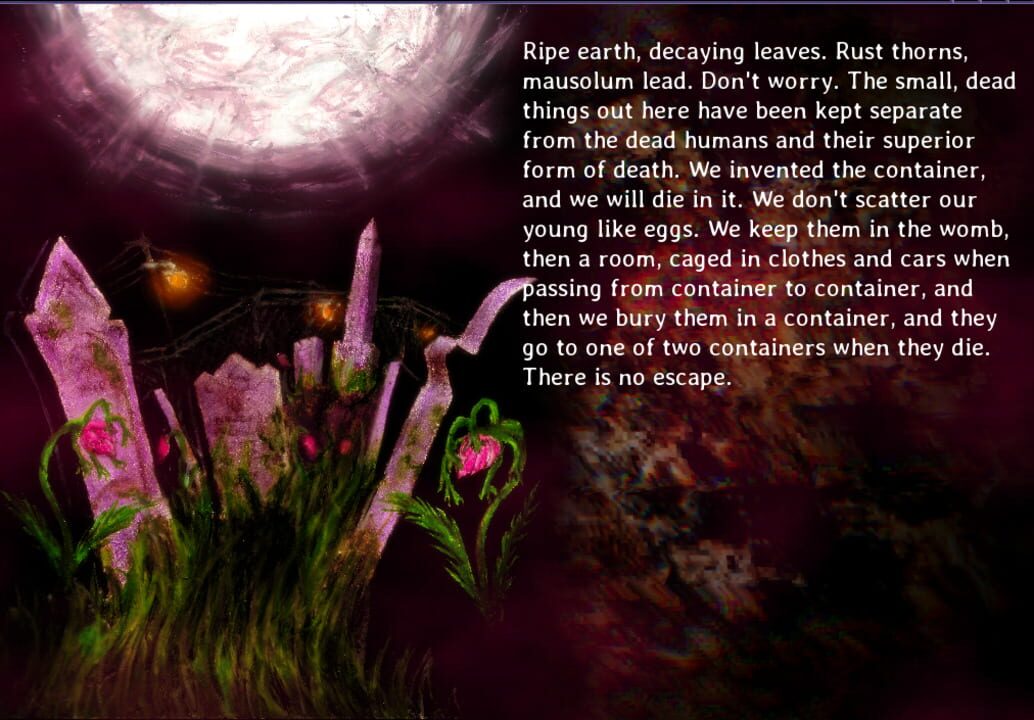 Perfect Tense: Maggot Therapy