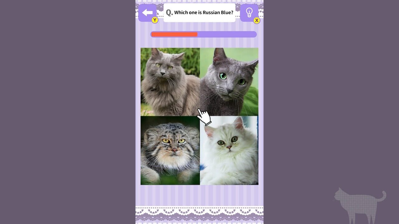 Cat Spotting Challenge!