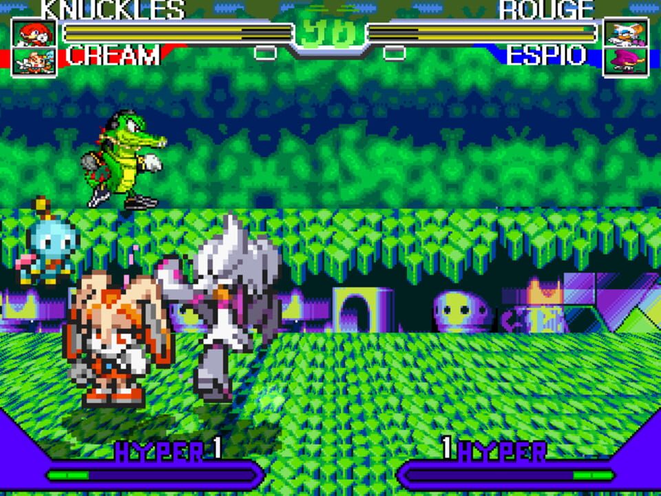 Team Sonic Fighters