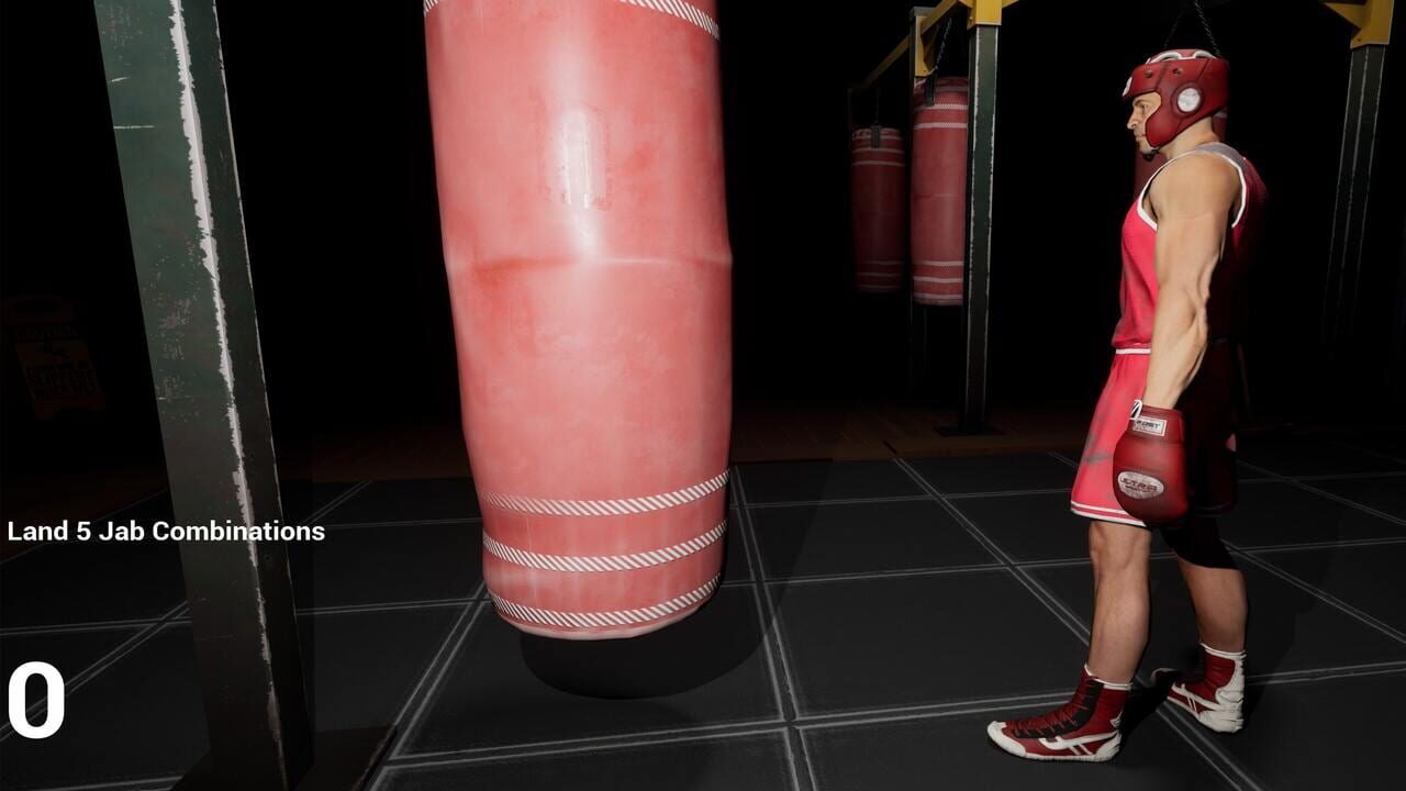 Ultimate Sparring
