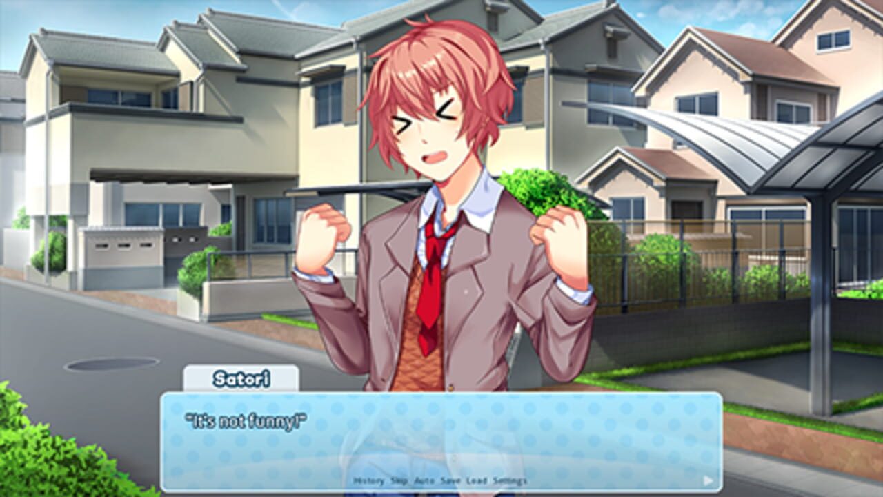 Doki Doki Switcheroo