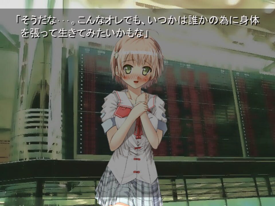 Boku wa Kimi dake o Mitsumeru Gaiden: Saber Tiger Hen