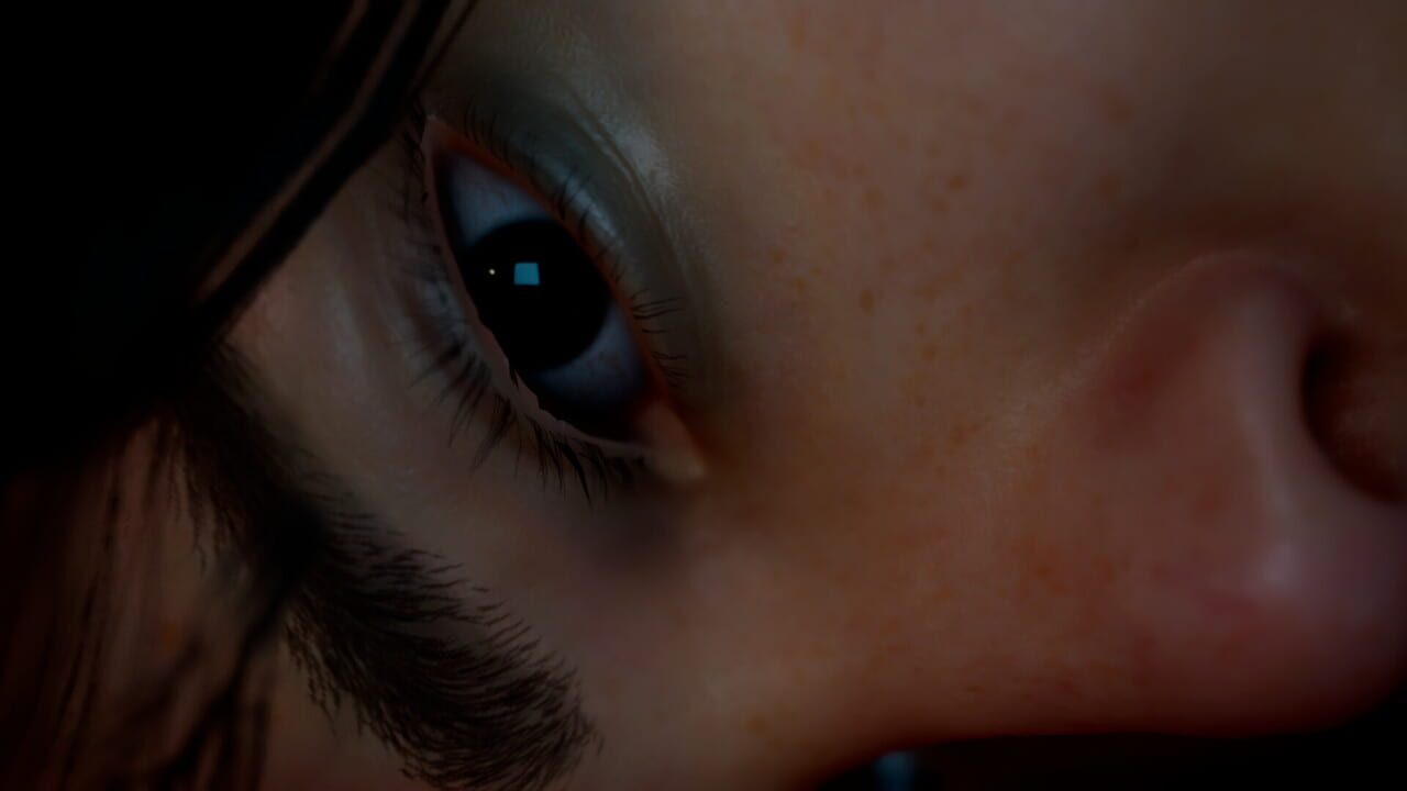 Dark Dawn: The Chronicles of a Doll