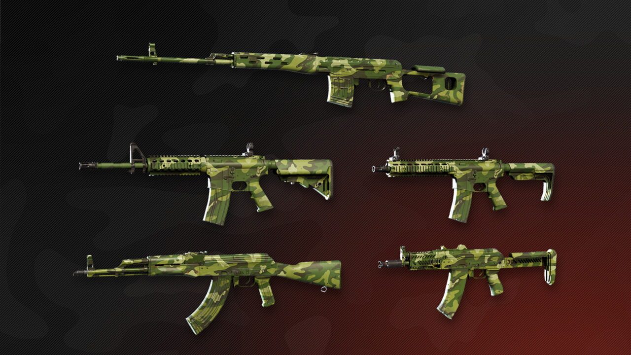 Deadside: Guerilla Skin Set