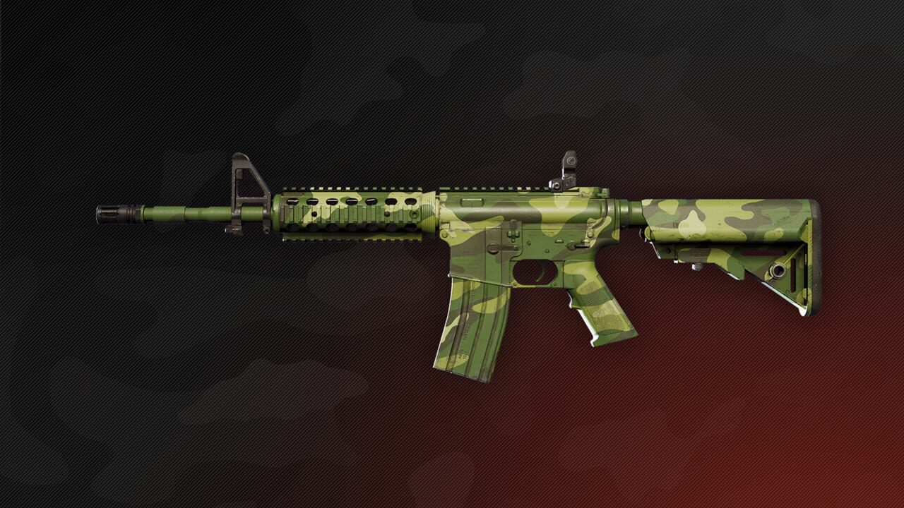 Deadside: Guerilla Skin Set