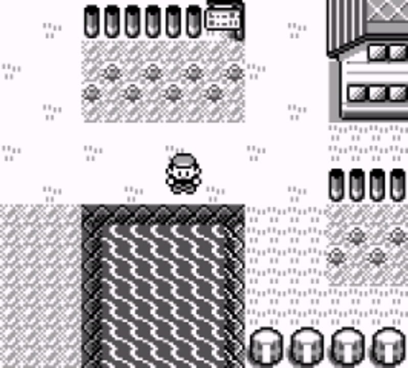 Pokémon: Professor Oak Challenge