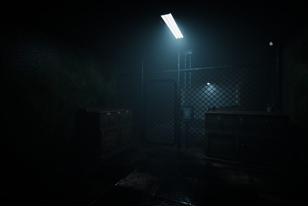 Forest Asylum