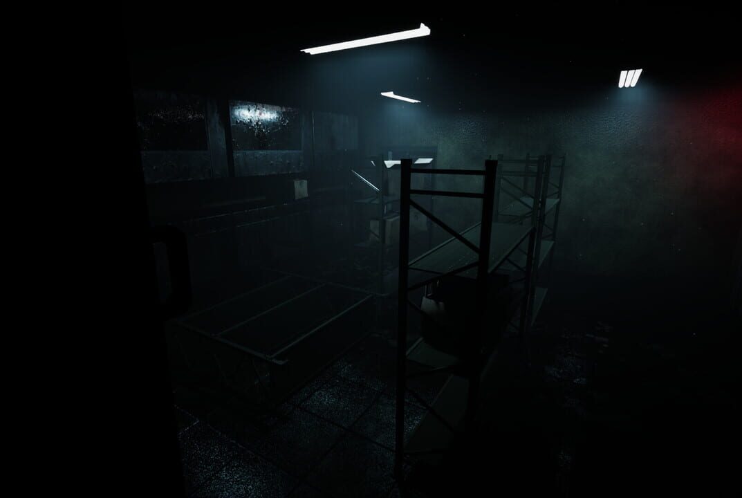 Forest Asylum