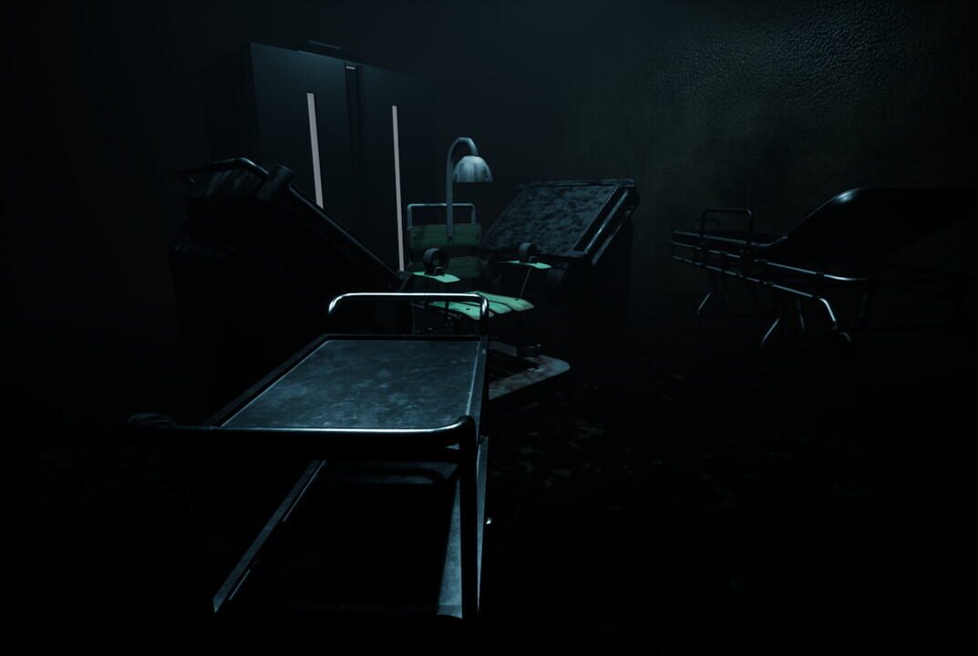 Forest Asylum