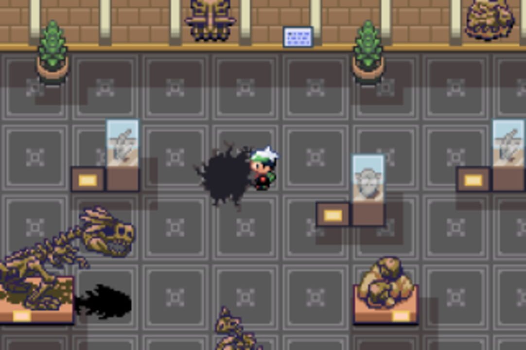 Pokémon: National History Museum