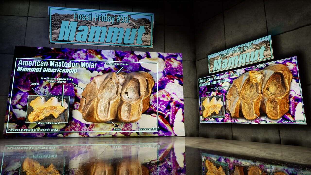 ShadowBox: Mausoleum of Natural History