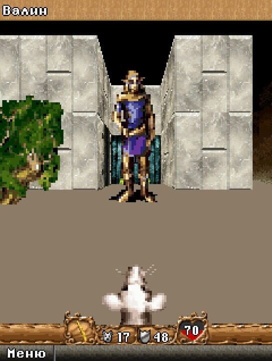 Orcs & Elves II