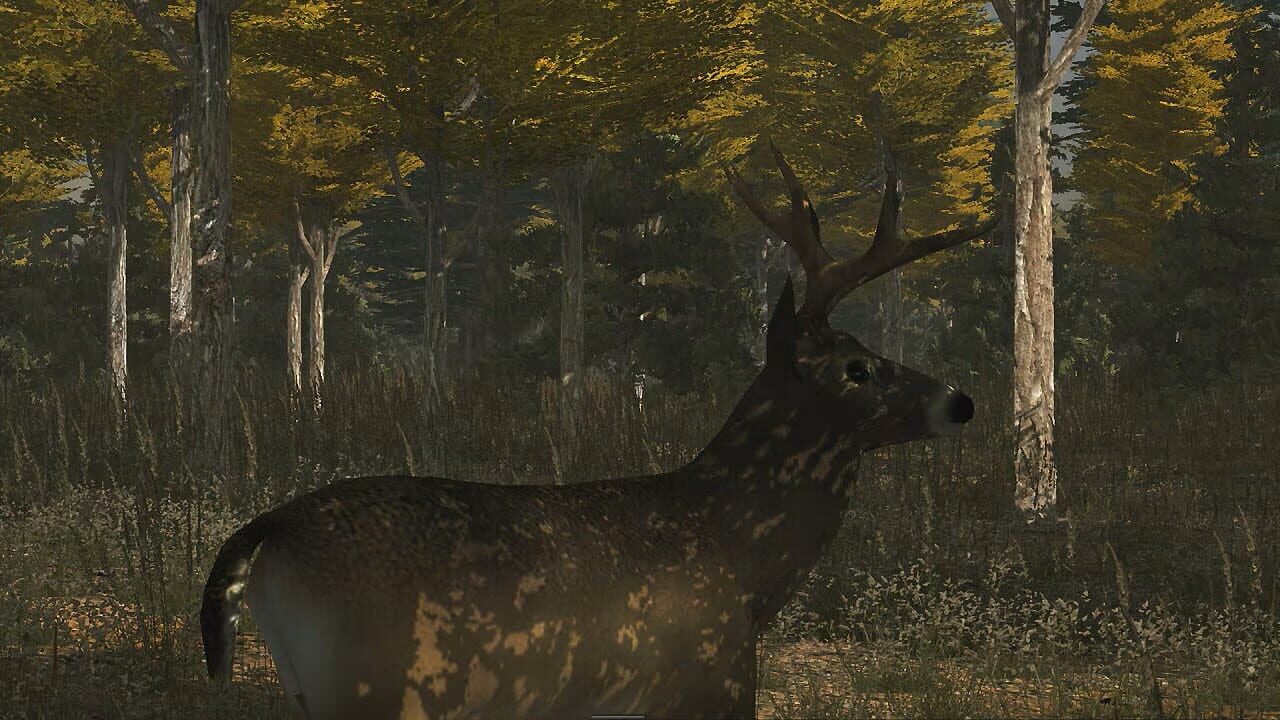 Deer Simulator