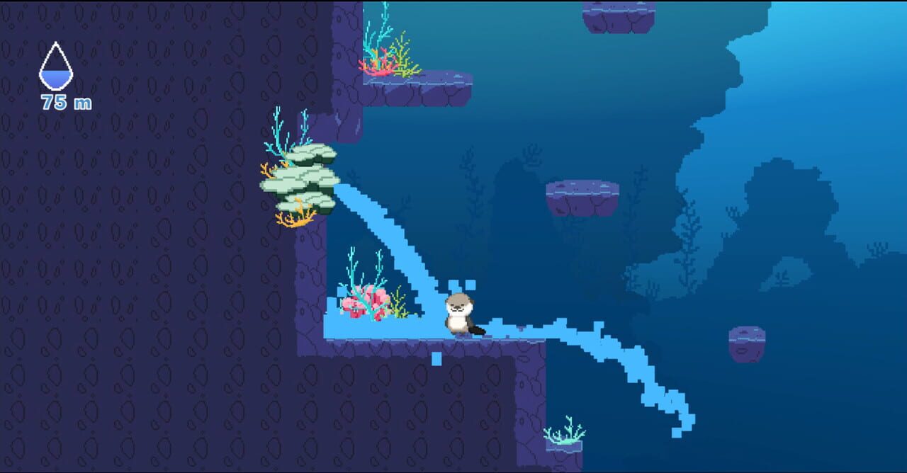 Ocean Otter Climb
