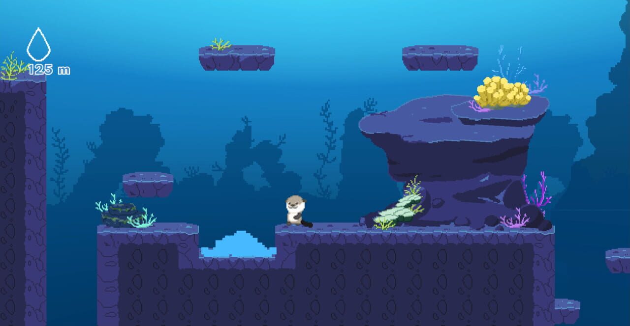 Ocean Otter Climb