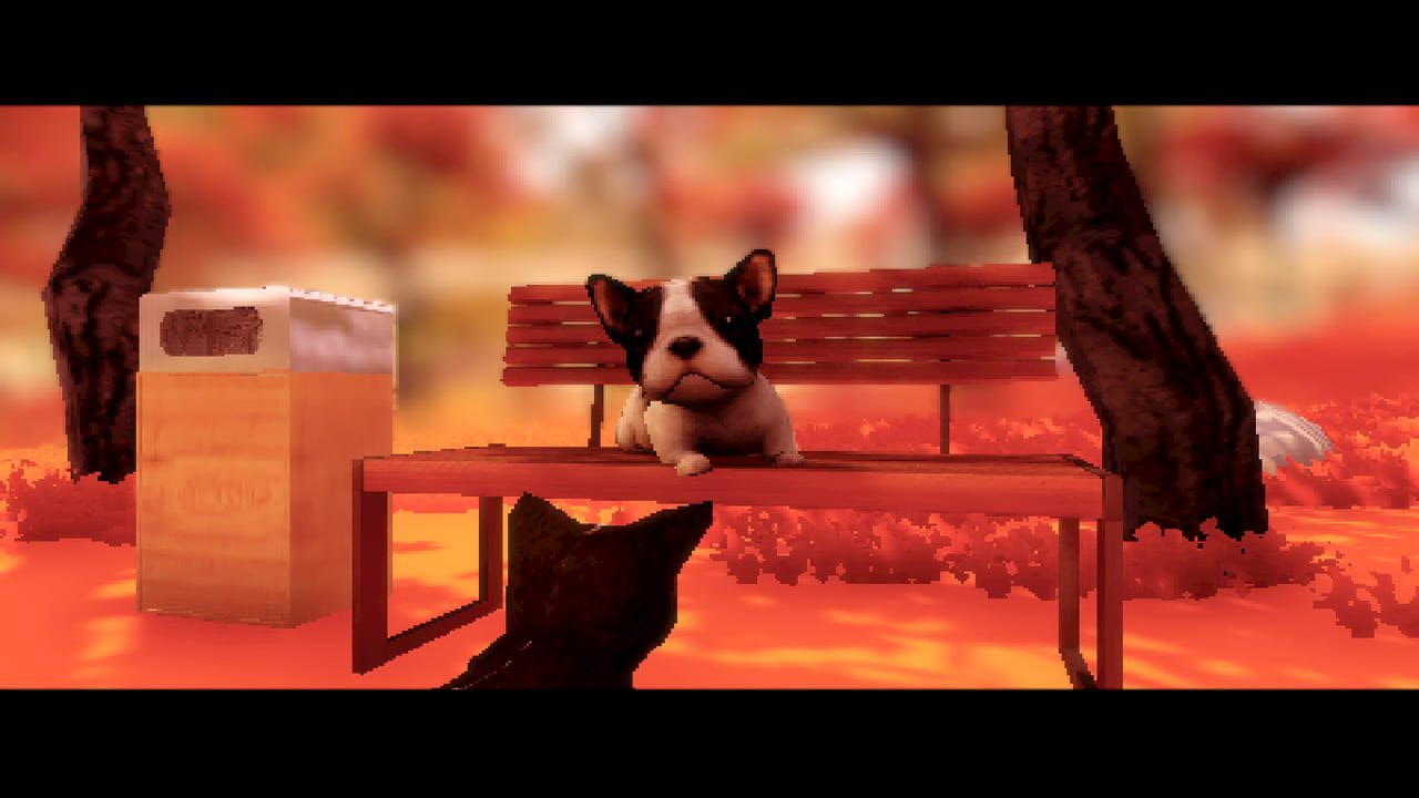 Fluffy Autumn