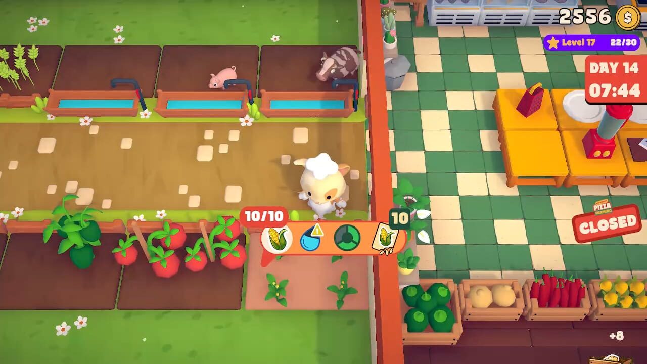 Cat & Rabbit Pizza Farming