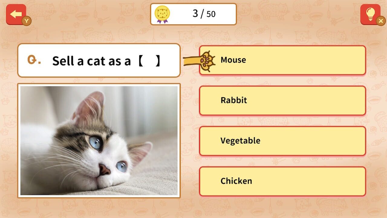 Quiz! Cat Proverbs Around the World