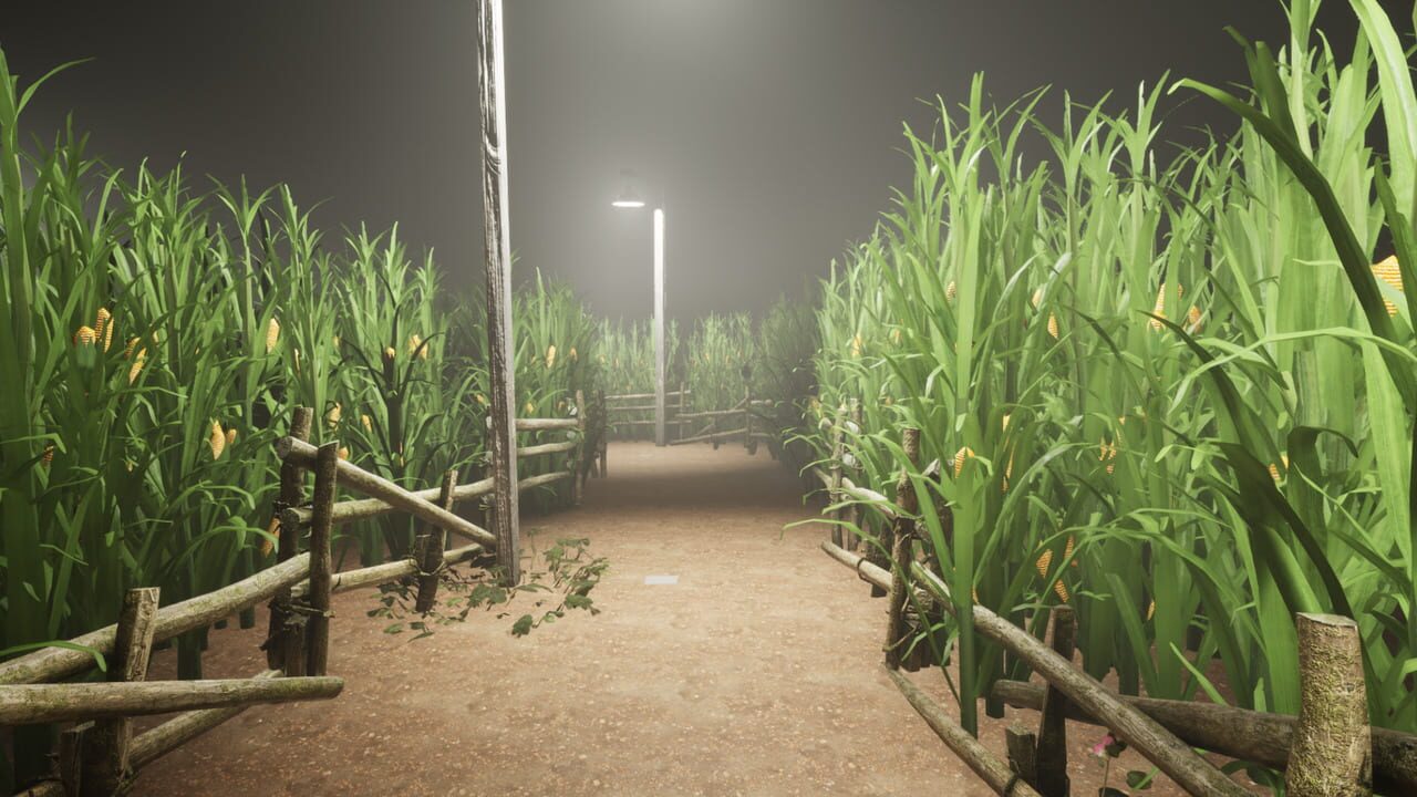 What Happened to Lily?