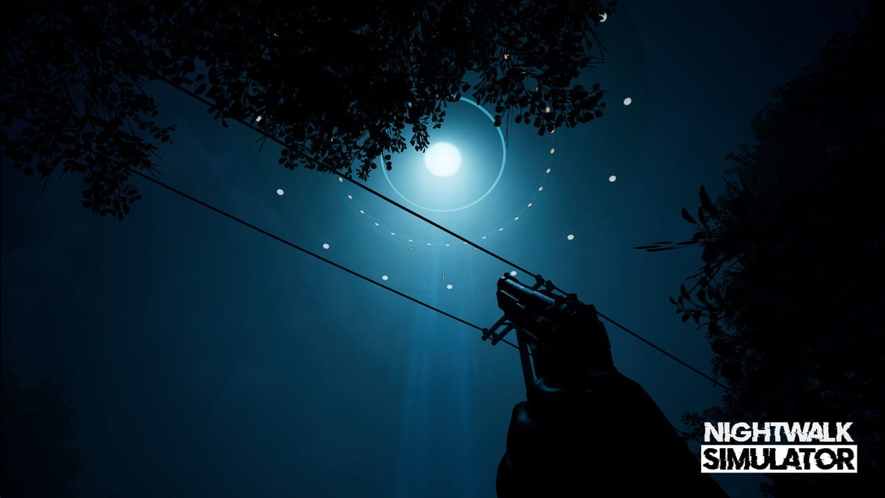 Nightwalk Simulator
