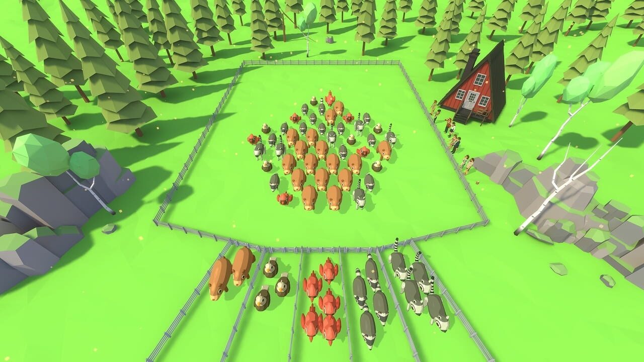 Madagascar: Zoo Animals Adventures