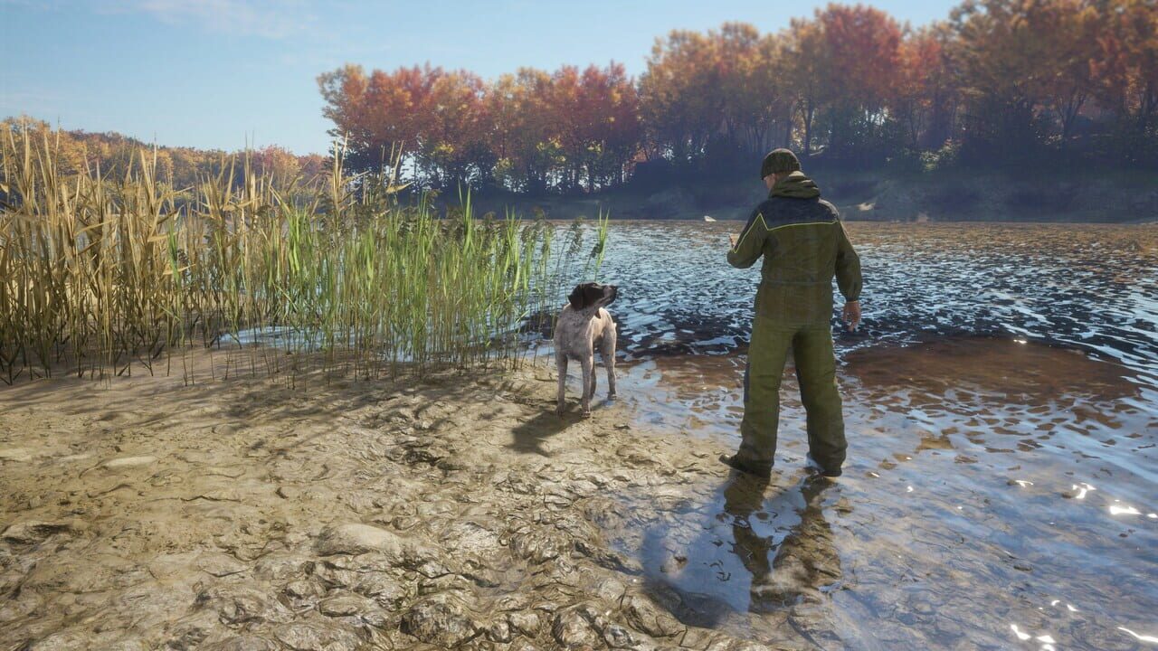 TheHunter: Call of the Wild – German Shorthaired Pointer