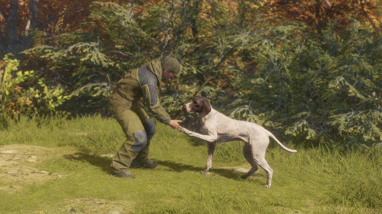 TheHunter: Call of the Wild – German Shorthaired Pointer