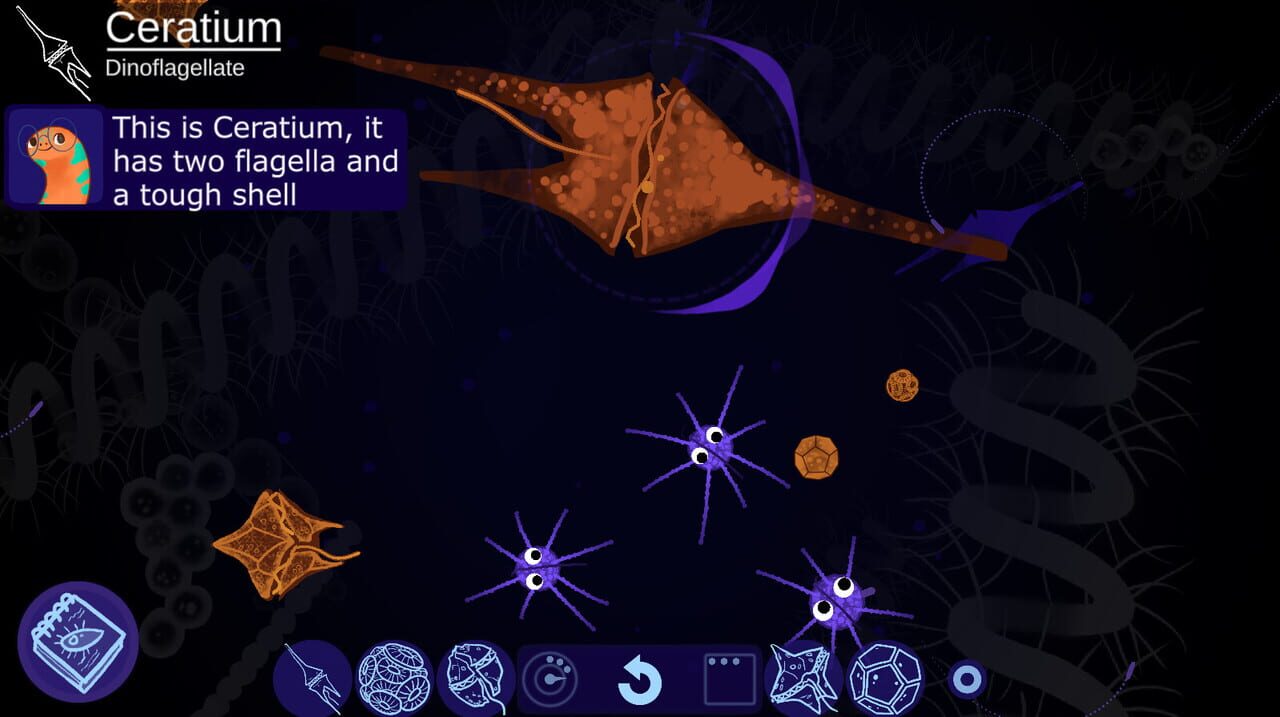 Aggi’s Tiny Friends