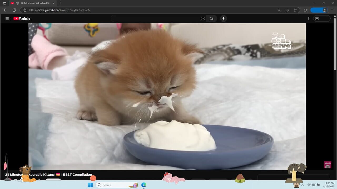 Digital Desktop Cats