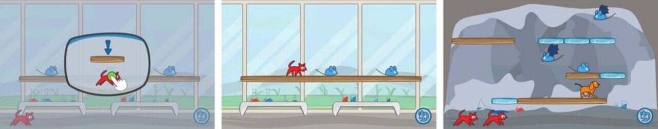 Cat Lab!