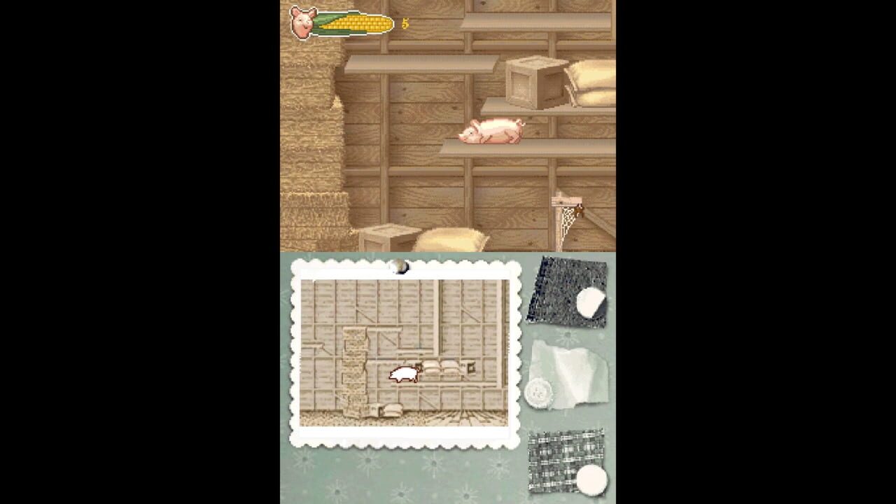 Charlotte’s Web