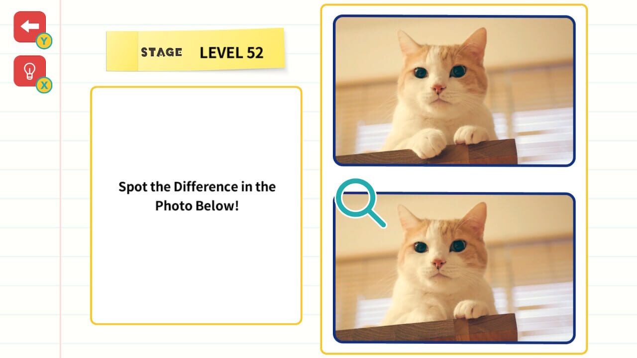 Find It! Brain Training Challenge