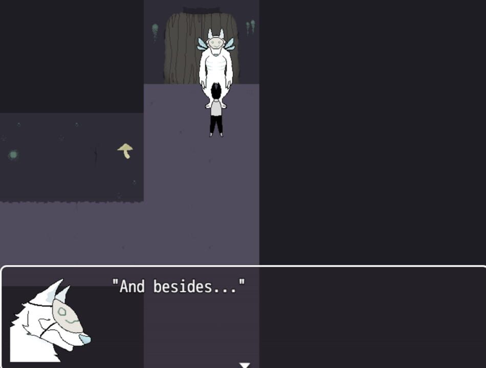 Fungus and Delicacies