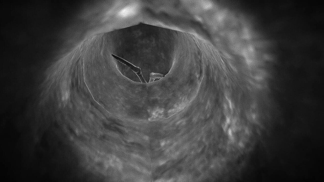 Deeper You Go