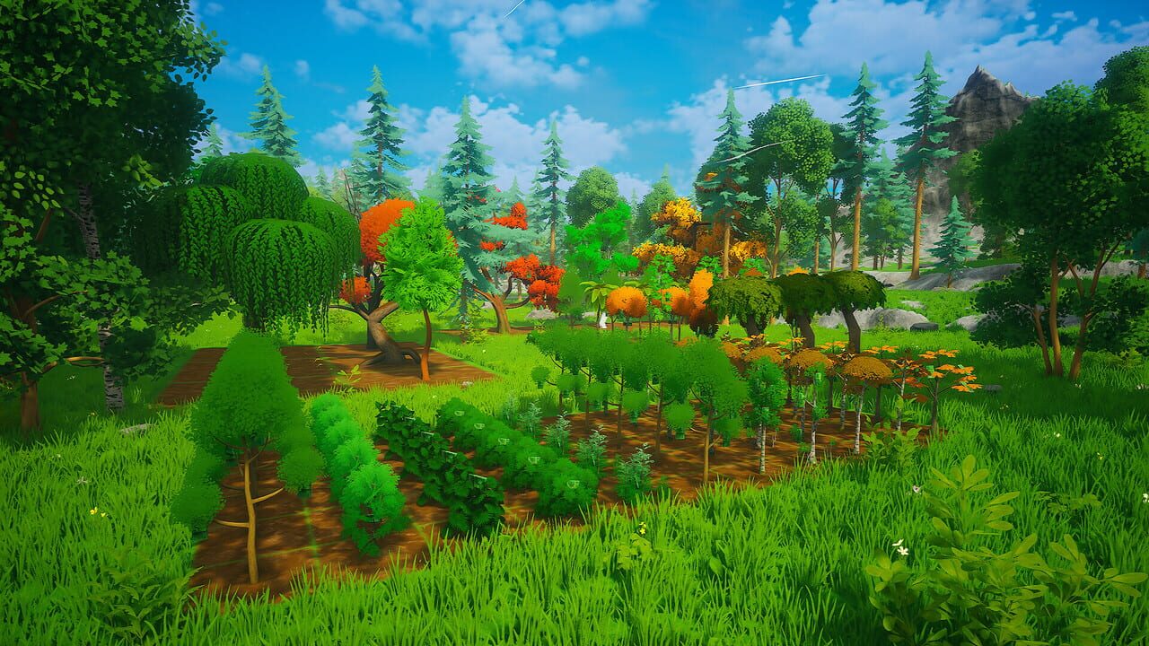 My Money Grows On Trees